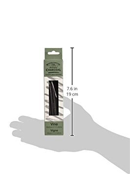 Winsor & Newton Artist Vine Charcoal Sticks, Medium, Box of 12 Sticks - style: Box of 12