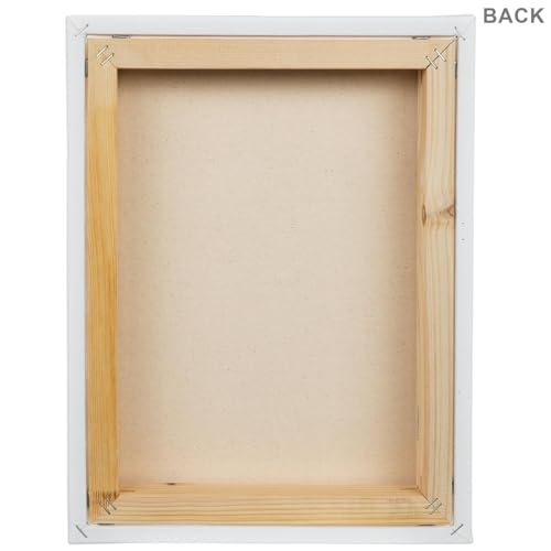 Hobby Lobby Master's Touch Grandeur Blank Canvas, Heavy-Duty Cotton Duck, Gallery-Wrapped, White (14"x11") - style: 14"x11"