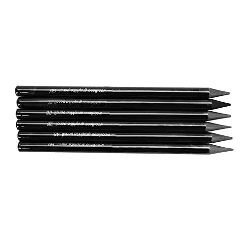 PENINSULA LOVE 6Pcs Woodless Graphite Pencils HB 2B 4B 6B 8B EE Artist Professional Drawing Pencil Set for Sketching Shading Writing for Adult Artist Hobbyist Beginner