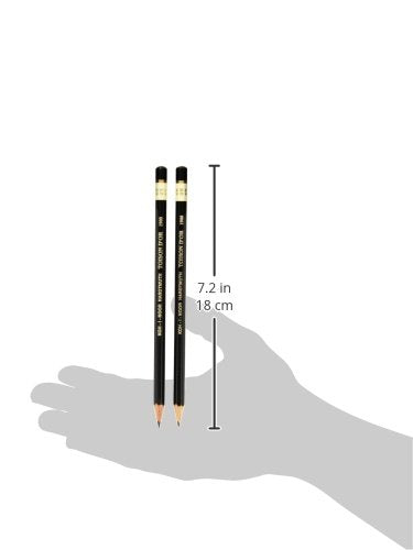 Koh-I-Noor Toison d'Or Graphite Pencil, 4H Degree, 2 Pack (FA1900.4HBC) - size: 2 Count (Pack of 1), style: 4h