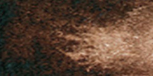 DANIEL SMITH 284600011 Extra Fine Watercolor 15ml Paint Tube, Burnt Umber, 0.5 Fl Oz (Pack of 1) - color: Burnt Umber