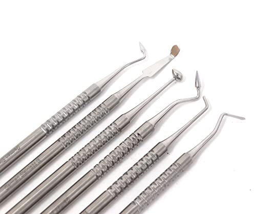 Composite Instrument Dental Set of 6 pcs Restorative Plastic Filling Restoration Preparation Carvers Contouring Plugger Ball Burnisher Tooth Cavity Various Decay Removal Double Ended Instruments - color: Silver