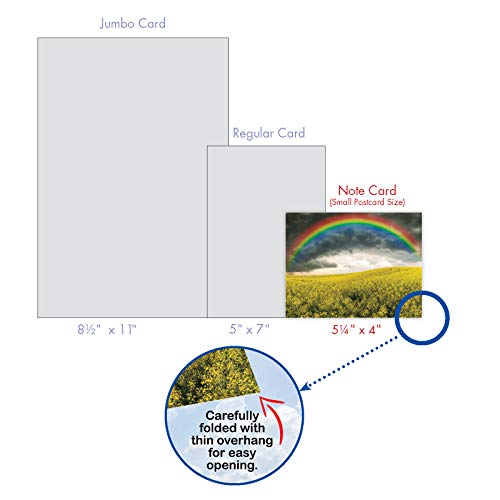 The Best Card Company - Box of 10 All Occasion Cards Blank (4 x 5.12 Inch) - Scenic Landscape Cards Assorted - Rainbow Bright M4963OCB-B1x10 - style: Rainbow Bright