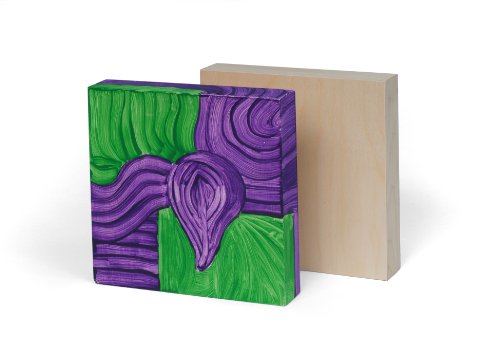American Easel 18 Inch by 18 Inch by 1 5/8 Inch Deep Cradled Painting Panel (AE1818D)