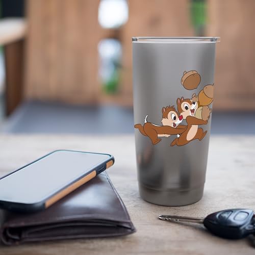 Disney Chip 'n Dale Chipmunks Acorn Run Stainless Steel Insulated Tumbler - color: Brushed Steel