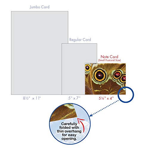 The Best Card Company - 10 Assorted Blank Notecards Boxed Set 4 x 5.12 Inch with Envelopes (10 Designs, 1 Each) Boxed Assorted Kid Cards of Pets - WING IT M3108 - style: Wing It