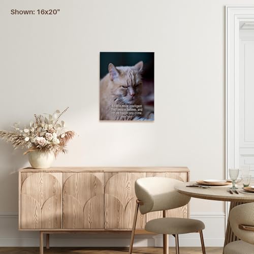 3dRose Ginger Cat. A cat is more intelligent than people believe... Museum Grade Canvas Wrap 11x14 - size: 11"L x 14"W
