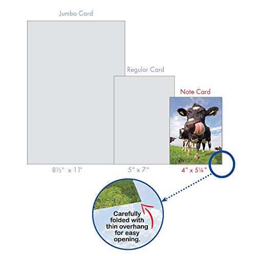 The Best Card Company - 10 Adorable Note Cards Blank (4 x 5.12 Inch) - Wildlife and Animals, Assorted Boxed Set - Cowlicks M4604OCB-B1x10 - style: Cowlicks