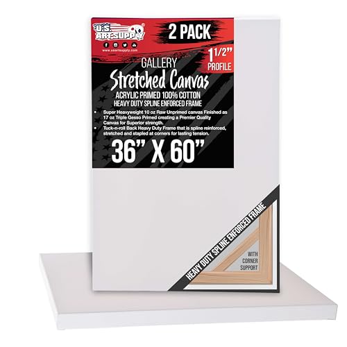 U.S. Art Supply Rectangle Stretched Canvas for Painting 36x60 inch Gallery Depth 1-1/2" Thick, 2-Pack - 17oz Acrylic Gesso Triple Primed, Professional Artist Quality, 100% Cotton - Oil, Pouring Paint - size: 36" x 60"