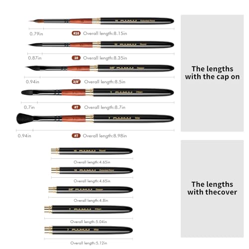 Fuumuui Travel Watercolor Brushes, 5Pcs Professional Plein Air Elegant Natural Squirrel Hair Travel Paint Brush Set with Sable Extended Needle Point Perfect for Watercolor Gouache Ink Painting - color: Black-5pcs