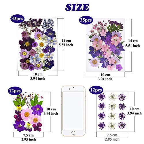 92 Pcs Purple Dried Pressed Flowers Real Natural Leave Petals for DIY Resin Candle Jewelry Nail Crafts - color: Purple