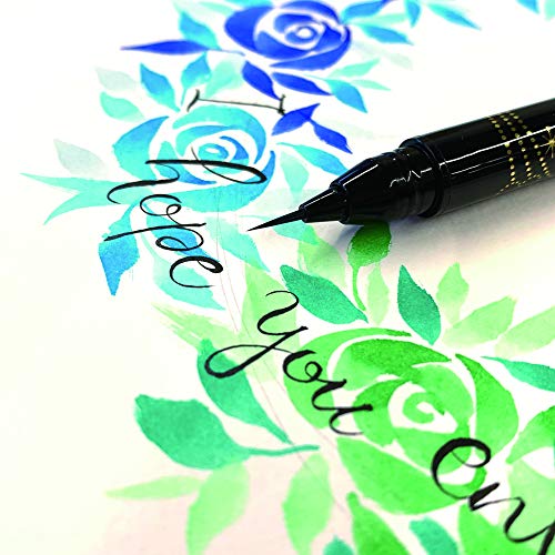 Kuretake Zig Ai Liner, Ultra fine Brush Pen, Black, Professional-quarity, for lettering, calligraphy, illustration, art, sketch, Made in Japan - size: 1 Count (Pack of 1)