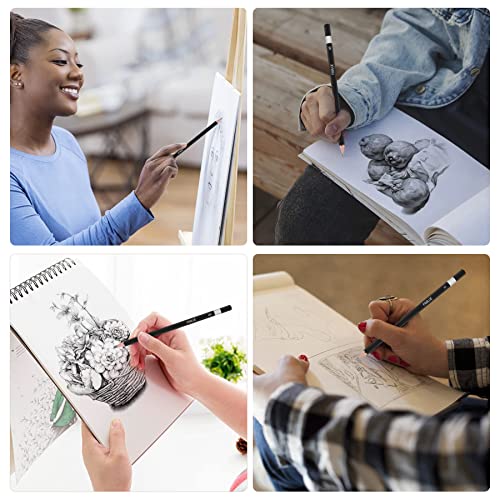 Professional Triangular Drawing Sketching Pencil Set,6H,4H,2H,H,HB,F,B,2B,3B,4B,6B,8B,10B,12B Graphite Shading Pencils Gift for Beginners,ProArtists,Drawing,Drafting,Sketching,Shading(14 Pcs)