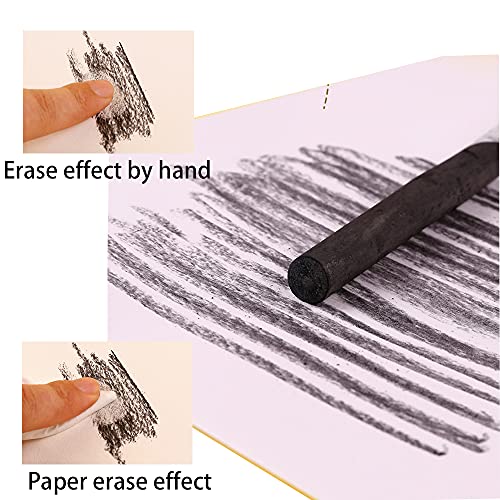 10pcs Vine Charcoal Sticks Willow Artist Soft Charcoal Pencil Sticks Drawing Art Set in Tin Box, 4 Sizes Charcoal Drawing Chalks Art Medium for Sketching, Drawing, Shading