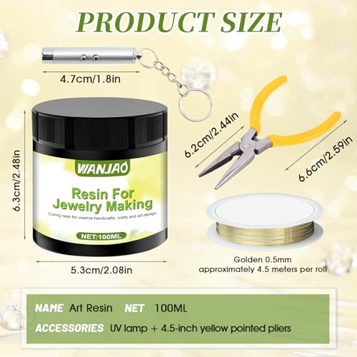 Dip Resin for Wire Flowers, Dip Resin Crystal Clear with Pliers and Wire Fast Curing Highly Transparent Crystal Clear Gloss Finish for DIY Art Jewelry Creative Modeling, 100ML