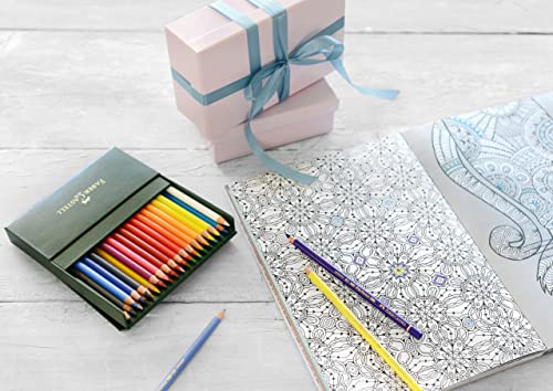Polychromos 36 Pencil Studio Set - style: Polychromos Colour Pencil