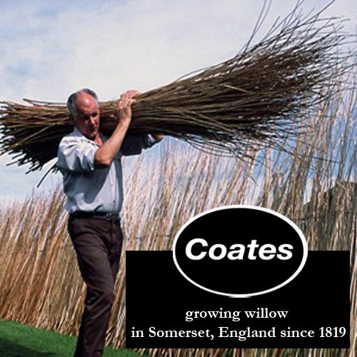 Coates Willow Charcoal- Box of 4 Extra Thick Sticks 12-14mm - style: Extra Thick