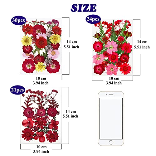 75 Pcs Red Dried Flowers Real Natural Pressed Leave Petals for DIY Resin Candle Jewelry Nail Pendant Crafts - color: Red
