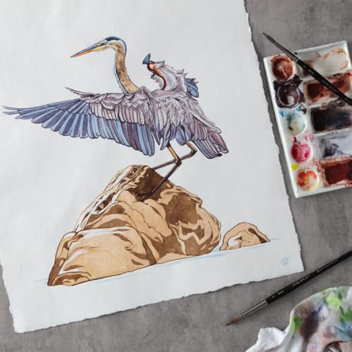 New York Central Handmade Watercolor Paper - 140lb, 5"x7" - 5 Packs of 10, 50 Total Sheets, Acid-Free 100% Cotton Rag, Cold Press, 4 Deckled Edges, Minimally Sized Mixed Media Paper - size: 5x7"