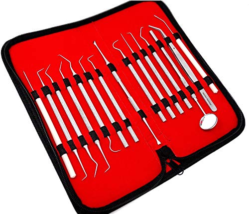 Pack of 15 Stainless Steel Precision Micro Scaler Scrapper Pick Set Combo, 5.5 inch to 6 inch Overall Length, Stainless Steel