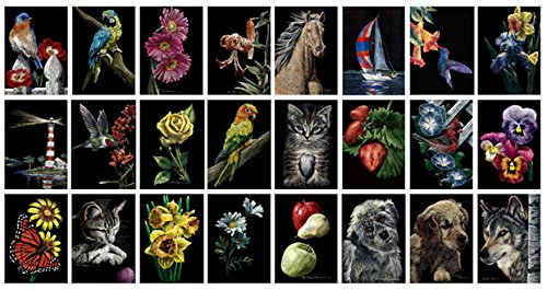 Ampersand Art Supply Scratchbord | Daisies | 5’’ x 7’’ | Professional Scratchboard Art Panel | for Scratchboard Drawing, Illustration & Mixed Media - style: Daisies
