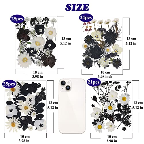 94 Pcs Black Pressed Dried Flowers for Resin Molds, Real Natural Flowers Leave for DIY Crafts, Jewelry, Candle, Soap Making Gifts - color: Black
