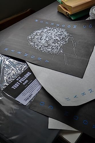 Ecotex® Screen Printing Test Pellons (Black - 15" x 15" - 25 Pack) Disposable Test Screen Sheets for Screen Printing Pallet, Test Pellon Squares for Screen Printing Ink - Screen Printing Supplies - color: Black