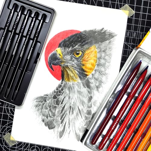 Altenew Monochrome Shading Pencils, 5 Woodless Graphite Pencils for Drawing, Sketching, Shading, Art Pencils 2H, HB, 4B, 6B, 10B with Metal Case