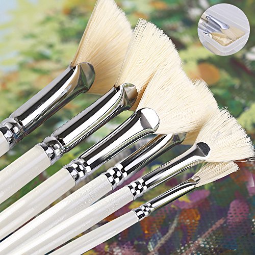 Amagic Fan Brush Set - Hog Bristle Natural Hair - Artist Soft Anti-Shedding Paint Brushes for Acrylic Watercolor Oil Painting, Long Wood Handle with Case, Set of 6