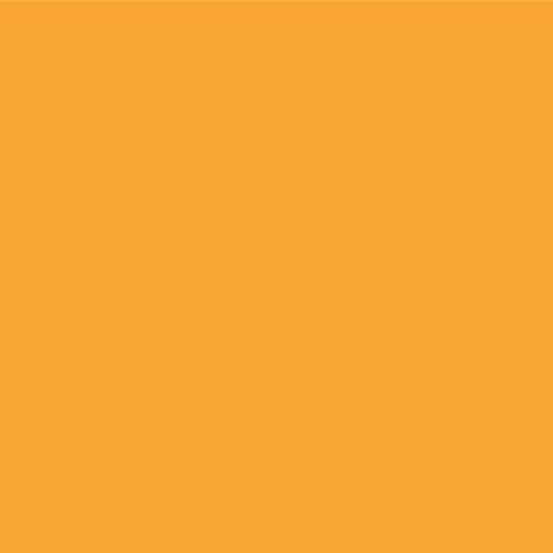 Faber-Castell Polychromos Artists' Single Pencil - Colour 113 Orange Glaze - color: Orange Glaze