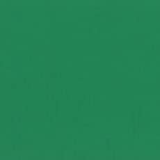 Holbein Artists Gouache Emerald Green 15ml (A)