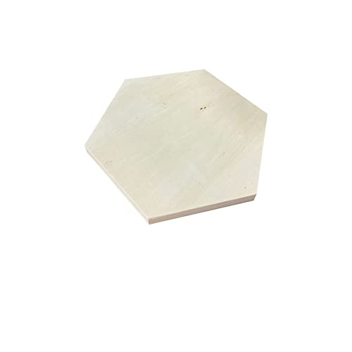Unfinished Wooden Panels for Painting, Blank Wood Hexagon Framed Boards for Crafting Art Pouring (10x11.6 in, 6 Pack)