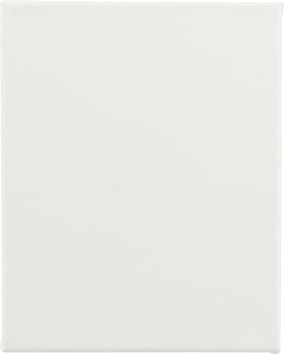 Paramount Canvas for Painting - Pack of 6, 12x16 White Canvases- 11/16" 100% Cotton Stretched Canvas, Triple-Primed for All Media, Medium Tooth, Back-Stapled, 12oz Primed Weight, Wood Stretcher Bars - size: 12x16" - Box of 6