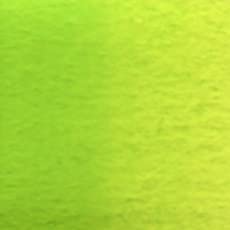 Holbein Artists Watercolor - Leaf Green 5ml