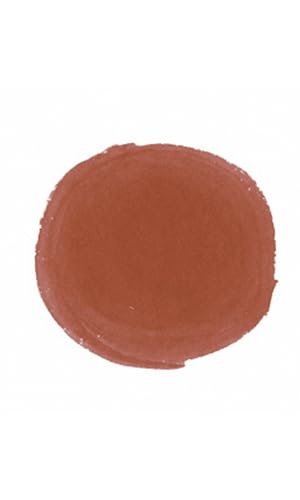 Higgins Red Pigmented Drawing Ink - for Artists and Students - 1 oz. Glass Bottle (HIG44645) - color: Red