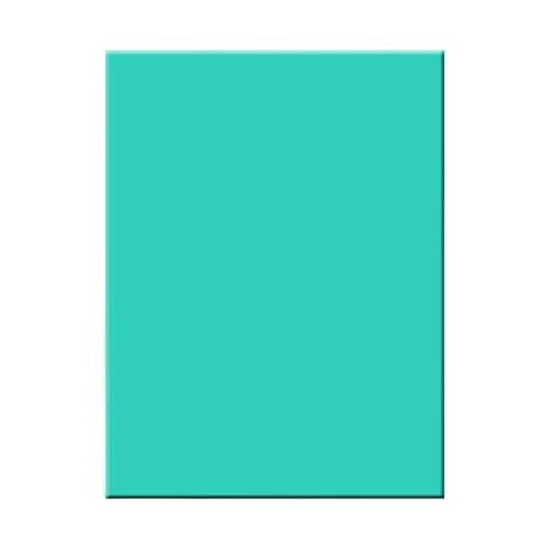 PVC Engraving Block for Printmaking, Soft Linoleum Block Alternative for Carving and Embossing, Flexible Lino Sheet Stamp Making Tool for Artists and Craft Workshops, 8 Sizes Available - color: D
