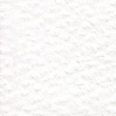 Holbein Artists' Colored Pencil - White, OP500