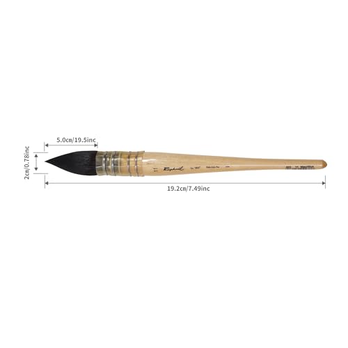 Professional Large Squirrel Hair Watercolor Brush Mop Brush, Ultra High Water Retention for Large Washes and Background Painting Made in France (Size 11) - size: Size 11