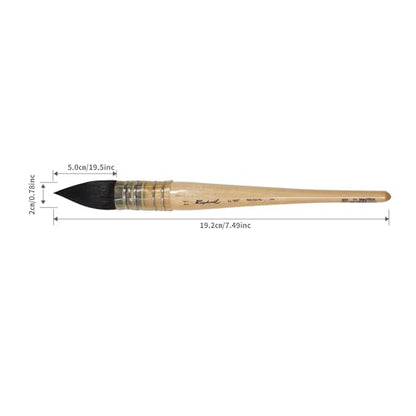 Professional Large Squirrel Hair Watercolor Brush Mop Brush, Ultra High Water Retention for Large Washes and Background Painting Made in France (Size 11) - size: Size 11