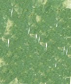 SENNELIER Extra-Soft French Pastel for Professional Artists, Baryte Green 762 - color: Baryte Green 762