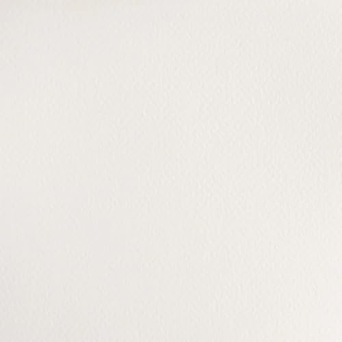 Winsor & Newton Cotman Watercolor Paint, 8ml (0.27-oz) Tube, Chinese White - color: Chinese White, style: 0.27-oz Tube