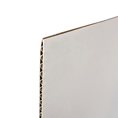 Flipside Products 36” x 48” Project Boards for Presentations, Science Fair, School Projects, Event Displays and Trifold Picture Board, Proudly Made in USA - Clay White - 24 Pack - color: Clay White, size: 24 Pack