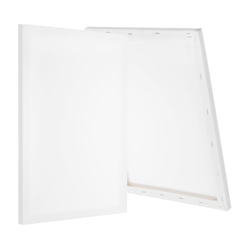 PATIKIL Stretched Canvas, 2 Pcs 18" x 14" Rectangle Canvas for Painting Blank Primed Canvas Cotton Canvas Panels for Acrylics Oil Watercolor Paints, White - size: 18" x 14"