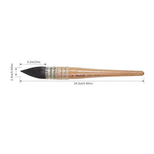 Professional Large Squirrel Hair Watercolor Brush Mop Brush, Ultra High Water Retention for Large Washes and Background Painting Made in France (Size 14) - size: Size 14