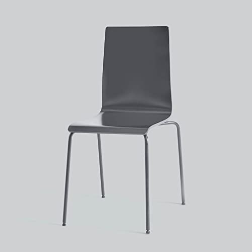 Rust-Oleum 1986502 Painter's Touch Latex Paint, Gloss Dark Gray, 1 Quarts (Pack of 1) - color: Gloss Dark Gray, size: 1 Quarts (Pack of 1)