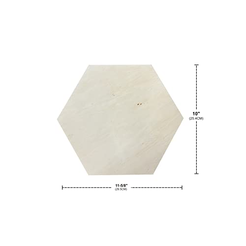 Unfinished Wooden Panels for Painting, Blank Wood Hexagon Framed Boards for Crafting Art Pouring (10x11.6 in, 6 Pack)