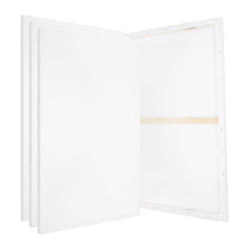 PATIKIL Stretched Canvas, 4 Pcs 24" x 18" Rectangle Canvas for Painting Blank Primed Canvas Cotton Canvas Panels for Acrylics Oil Watercolor Paints, White - size: 24" x 18"