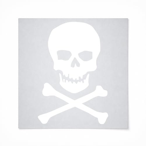 Skull and Crossbones 1 Reusable Mylar Stencil - Art Craft Supplies 4 Inch
