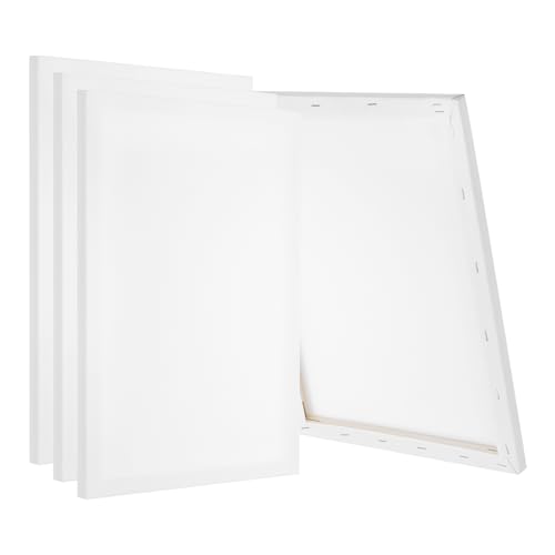 PATIKIL Stretched Canvas, 4 Pcs 18" x 12" Rectangle Canvas for Painting Blank Primed Canvas Cotton Canvas Panels for Acrylics Oil Watercolor Paints, White - size: 18" x 12"