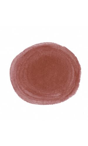 Higgins Carmine Pigmented Drawing Ink - for Artists and Students - 1 oz. Glass Bottle (HIG44655) - color: Carmine